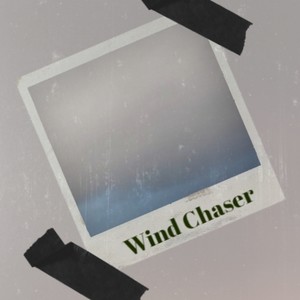 Forest Reverie 30 Min