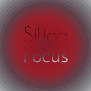 Silica Focus