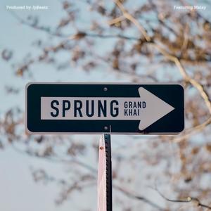 Sprung (feat. Malay) [Explicit]