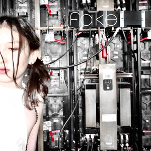 Fake