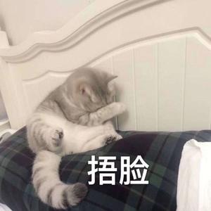 卡路里
