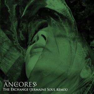 The Exchange(feat. James Dean Bradfield) (Jermaine Soul Remix)