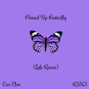 Pinned Up Butterfly (feat. Cas Cleo) (Lofi Remix)