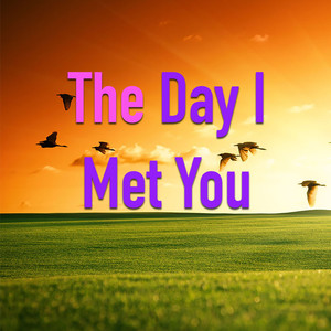 The Day I Met You