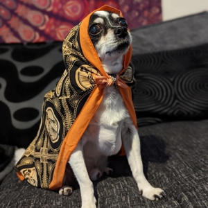 Killing Me Djently (Explicit)