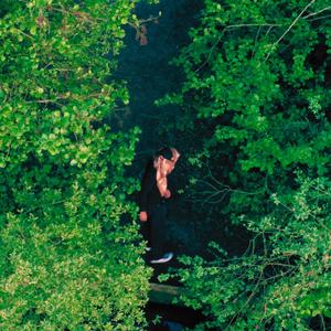 Alles is goed (feat. Allykss, MKG & Sky)