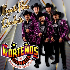 Norteños De Ojinaga - Llegaste Para Quedarte