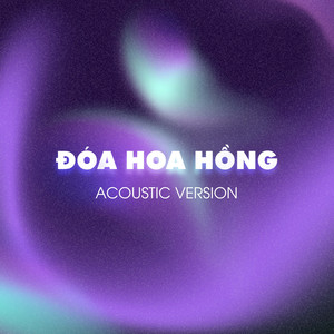 Đoá Hoa Hồng (Acoustic Version)