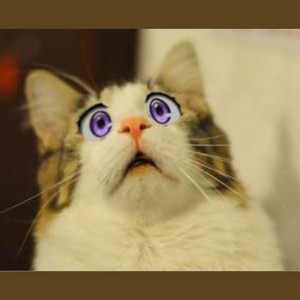 期末作业-以“萌宠乐园”为限定主题谱曲