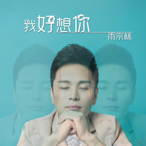 我好想你-雨宗林