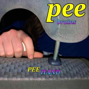 THE COUNT'S LAMENT - KARAOKE VERSION FROM THE BOISTEROUS BAT INN (feat. PEE MONEY & PUSS PEE)