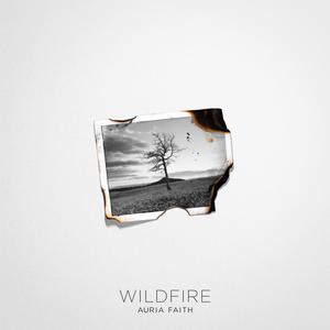 Wildfire