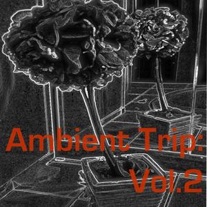 Ambient Trip: Vol.2