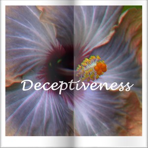 Deceptiveness