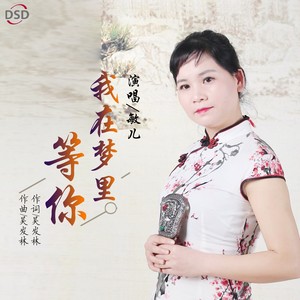 我在梦里等你