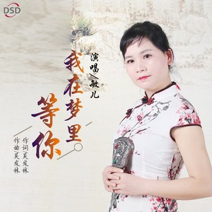 我在梦里等你 (敏儿版)