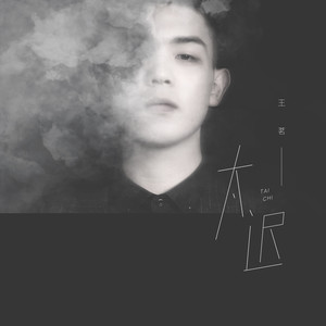 太迟 (男声版)