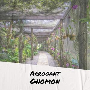 Arrogant Gnomon