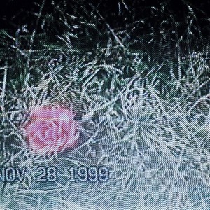 ʎddɐɥ noʎ sǝʞɐɯ ɹǝʌǝʇɐɥʍ