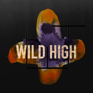 Wild High