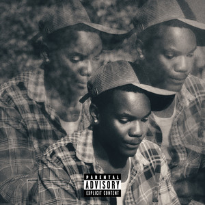 Picture Perfect (Explicit)