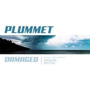 Damaged (Arctica Remix)