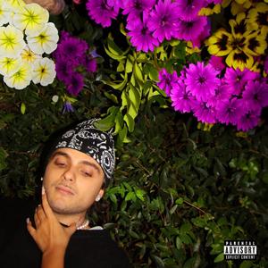 Birkin Bag (Bonus Track) (feat. Coyote Jo Bastard & Willy klz) (Explicit)