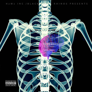 Fake Love (Explicit)