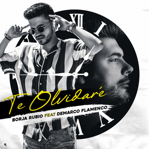 Te Olvidaré(feat. Demarco Flamenco)