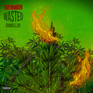 Wasted (Explicit)