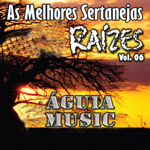 As Melhores Sertanejas Águia Music (Raízes) , Vol 6 - (Ao Vivo)