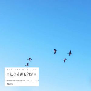 自从你走进我的梦里