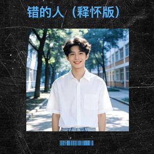 错的人 (释怀版|改编版)