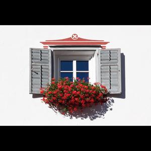 Window (feat. Koda B., Figure 8 & Janslammm) (Explicit)