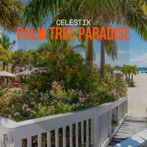 Palm Tree Paradise