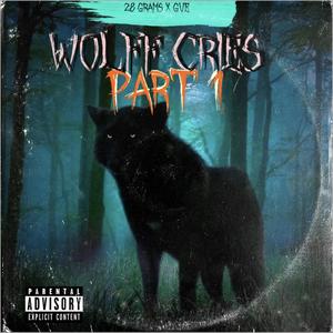 WoLFF CRieS (Explicit)