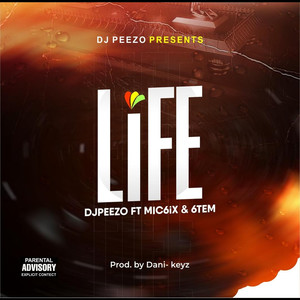 Life (Explicit)