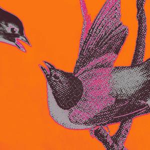 Flocking (feat. Emcee Originate)