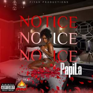 Notice (Explicit)