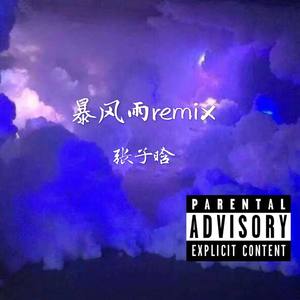 暴风雨Remix