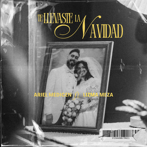 Te Llevaste La Navidad