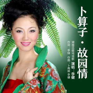 卜算子·故园情