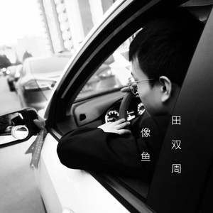 像鱼