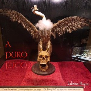 A Puro Fuego (Explicit)