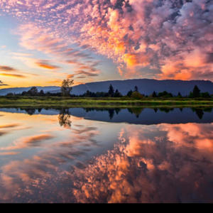 Peace in my Reflection (Explicit)