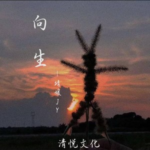 向生 (伴奏)