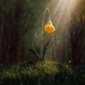 Con Flores (Tik Tok Version)