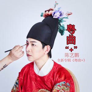 天上掉下个林妹妹 (女版)