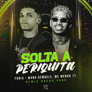 Furia - SOLTA A PERIQUITA (Explicit)