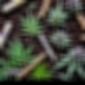 Big Dawg (feat. Jo BANDS, TMG Byrd & Ka$adi BANDS) (Explicit)